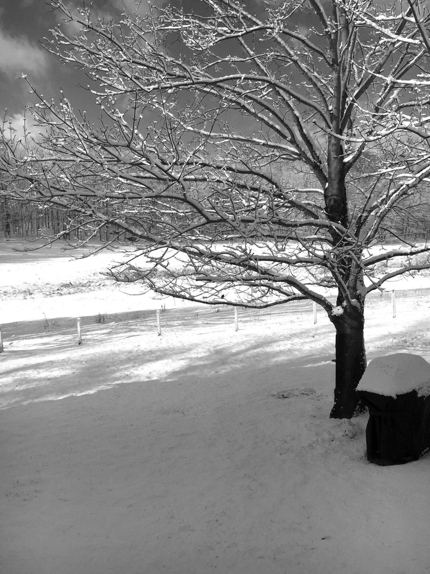 Winter in Connecticut