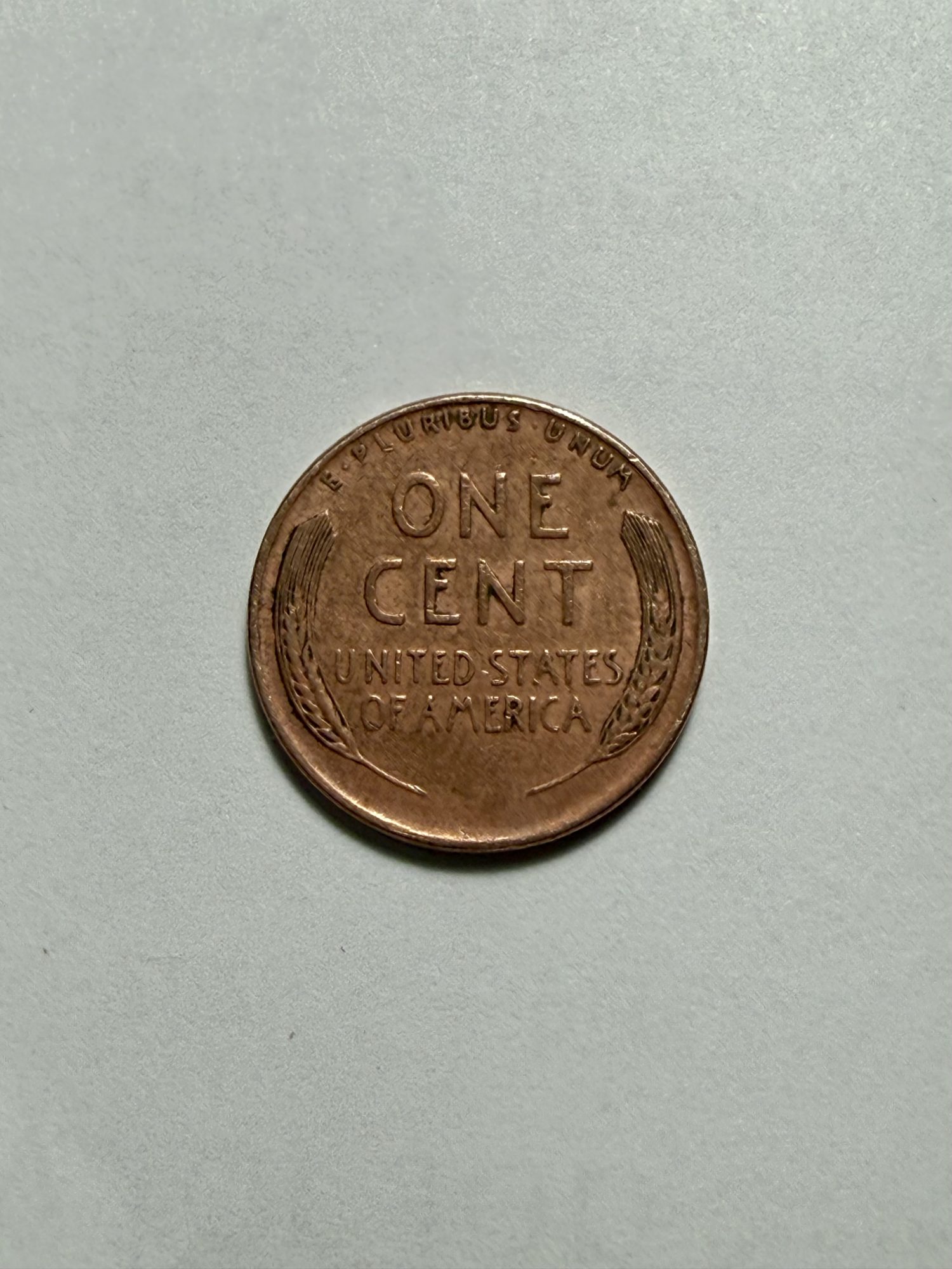 Reverse side of wheat penny